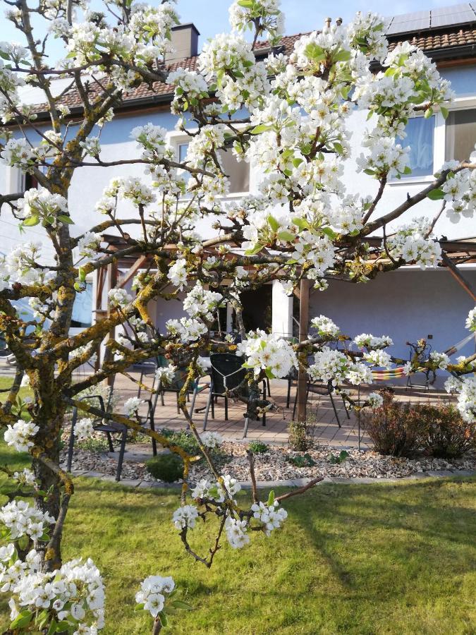 Privatzimmer Langthaler Melk Exterior photo